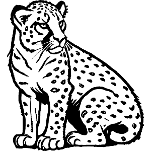 Cheetah Sitting