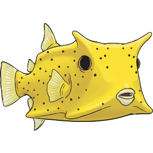 Longhorn Cowfish