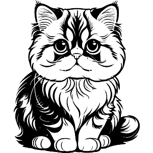 Persian Cat