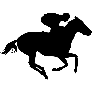 Race Horse