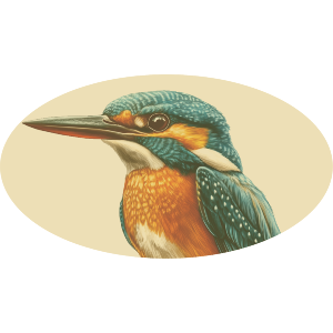 Kingfisher Portrait