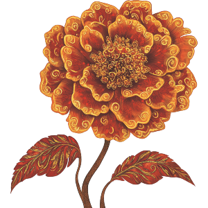 Marigold Flower