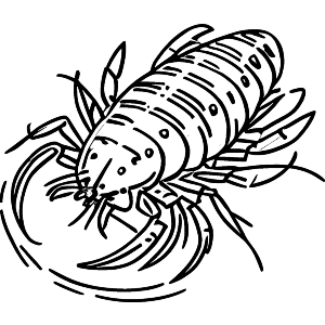 Lobster Crustacean