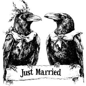 Just Married Ravens