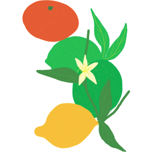 Summer Citrus Fruits