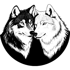 Two Wolves