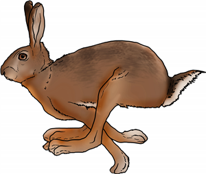 Running Hare