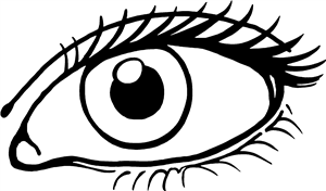 Eye