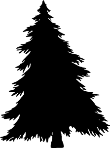 Silhouetted Pine Tree