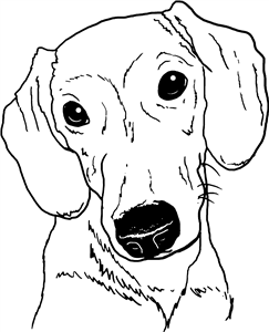 Cute Daschund