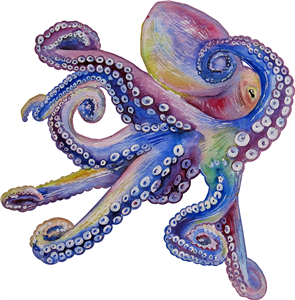 Colourful Octopus