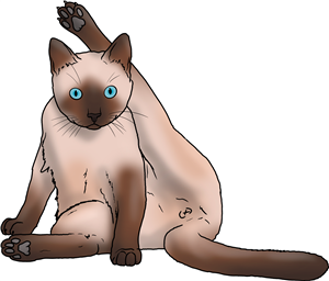 Cat Cleaning It