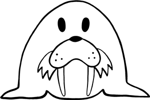 Walrus