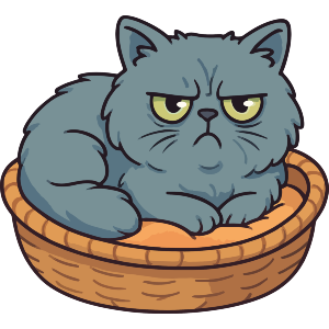 Grumpy Persian Cat