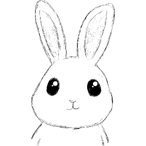 Cute Bunny