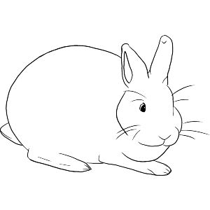 Peace Bunny – Minimalist Rabbit Art