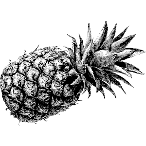 Single Pineapple