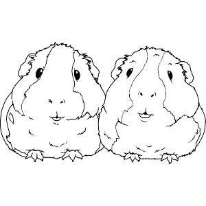 Cuddling Guinea Pigs