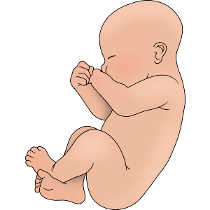 Sleeping Newborn Baby