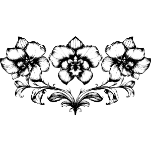 Symmetrical Orchid Line Art