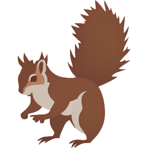 British Red Squirrel