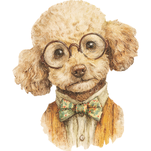 Toy Poodle Wearing Glasses 