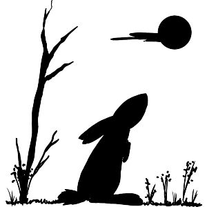 Moon Gazing Hare