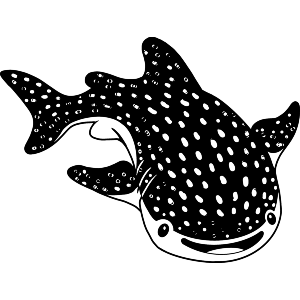 Cute Whale Shark