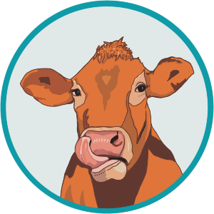 Dairy Cow