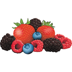 Mixed Summer Berries