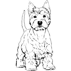 Proud Westie Dog