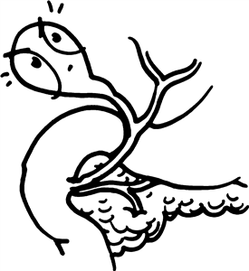 Angry Gallbladder