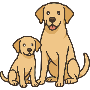 Labrador Adult and Puppy