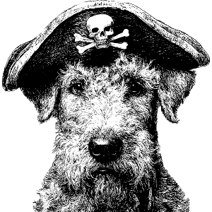 Airedale Terrier Pirate