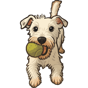 Jack Russell with Tennis Ball