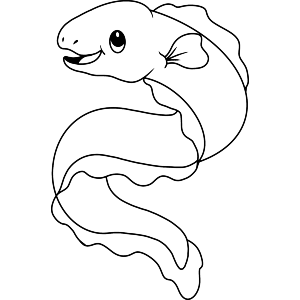 Cute Moray Eel