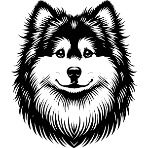 Finnish Lapphund