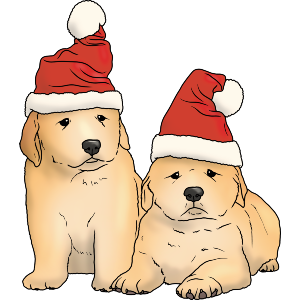 Christmas Golden Retriever Puppies
