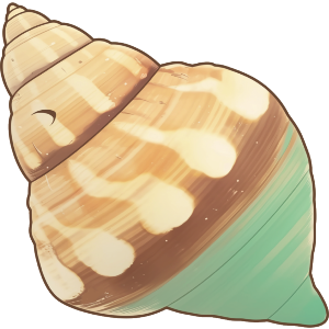 Simple Seashell