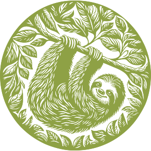 Cute Sloth On Branch