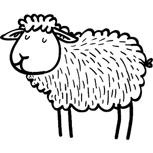 Content Sheep