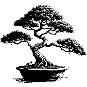 Bonsai Tree in Pot