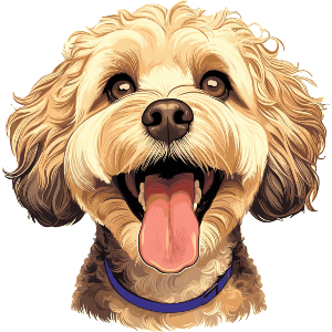 Happy Cockapoo