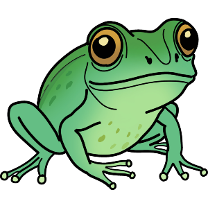 Smiling Frog