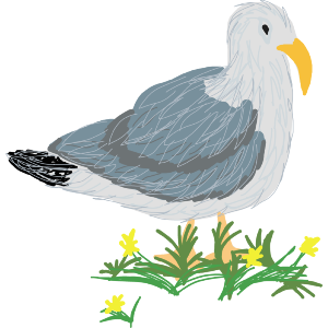 Seagull Standing Amongst Flowers 