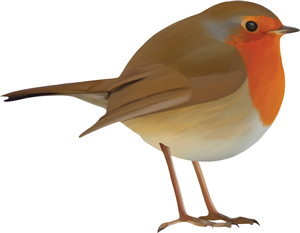 Robin