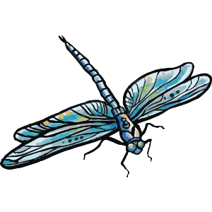 Blue Dragonfly