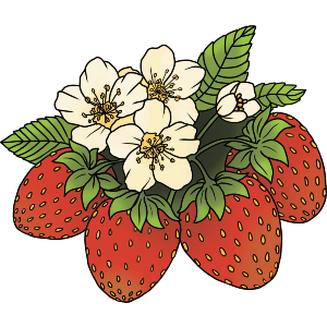 Strawberry Plant