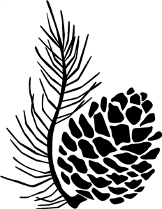 Pine Cone