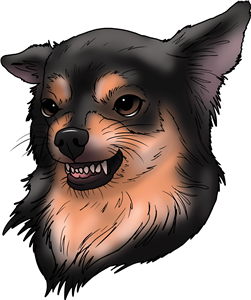 Angry Growling Chihuahua